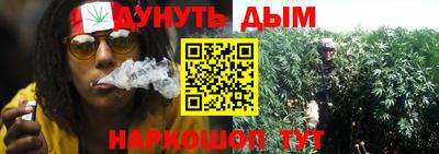 мдпв Ставрополь