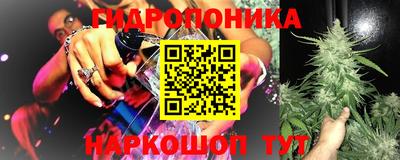 индика Старая Купавна