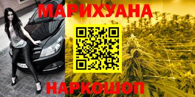 тгк Славгород